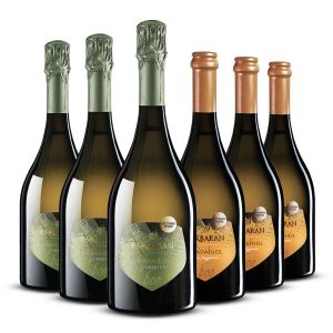 Grapariol frizzante e spumante – 6 bt – Barbaran